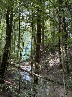 Fotografija s spletne strani John Schouten na poti