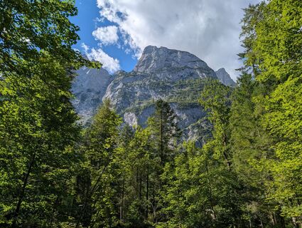 Foto von Florian Brunner 2 entlang der Tour