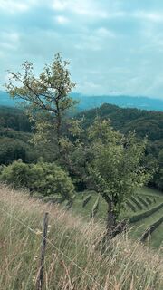 Foto från Anna Andrae under resans gång