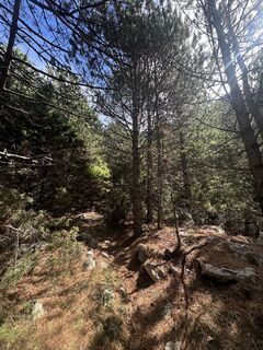 Fotografia z Александр Коваленко na trase