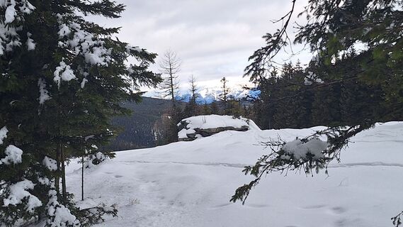 Fotografija s spletne strani Susi Puhl na poti