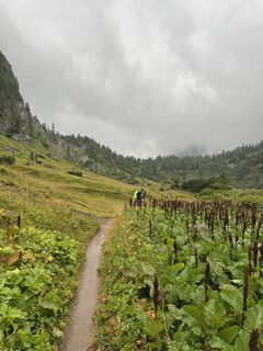 Foto von Niclas Felderer entlang der Tour