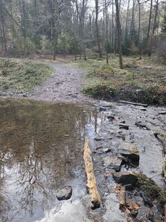 Fotografie z Björn Heun na trase