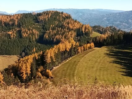 Foto von Harald Bäck entlang der Tour