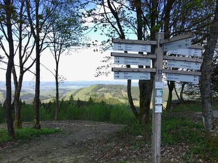 Naturerlebnispfad Hohe Bracht