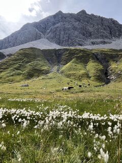 Foto von Schnee-Hexe entlang der Tour