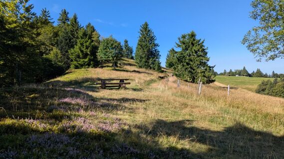 Photo de Richard Schwald le long du parcours