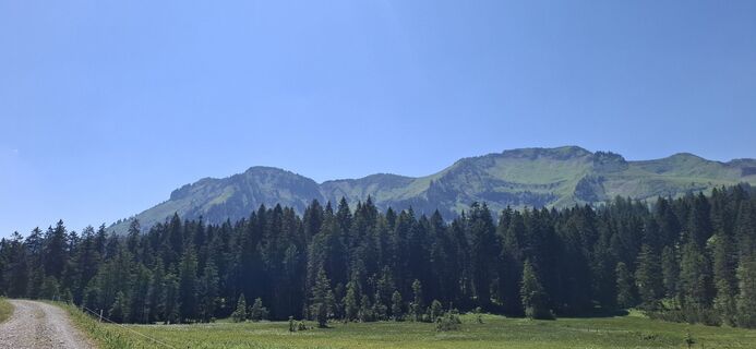 Fotografie z David Bubenheim na trase