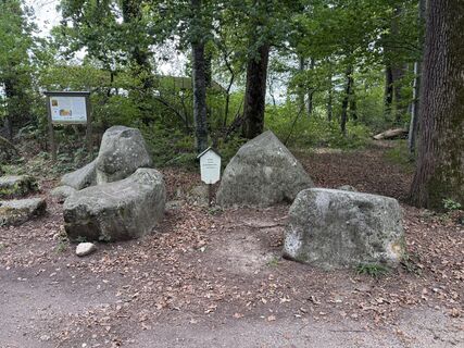 Foto von Helix entlang der Tour