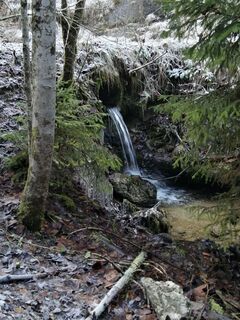 Photo de Brigitte Rottmann le long du parcours
