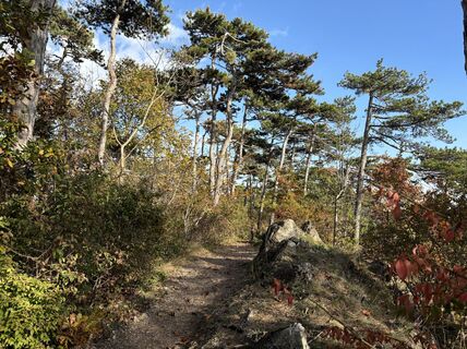 Фото с сайта Robert Kremlicka во время экскурсии