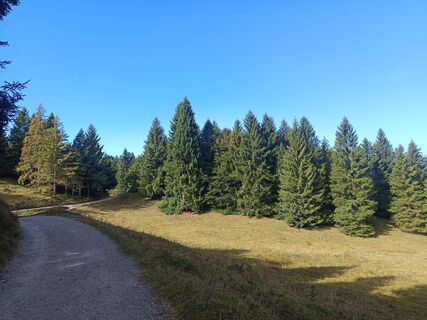 Fotografija s spletne strani Gloria 1 na poti