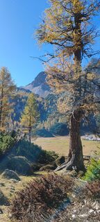 Foto fra Simone Ferrari underveis på turen