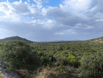 Photo de WilliSt le long du parcours