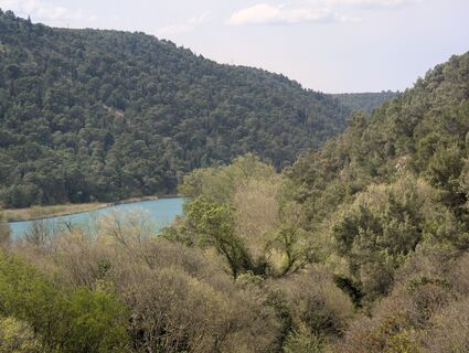 Foto von Der_Brasilianer entlang der Tour