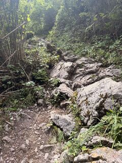 Foto von Raffael entlang der Tour