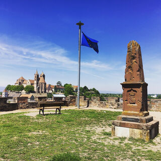 Zemljevid