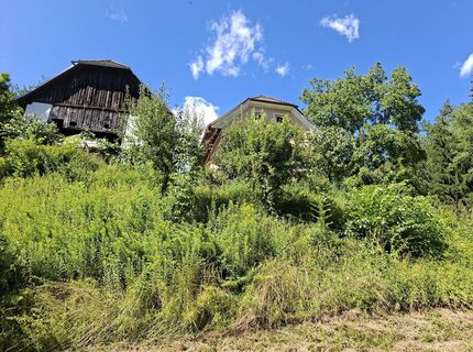 Photo de Mangolein le long du parcours
