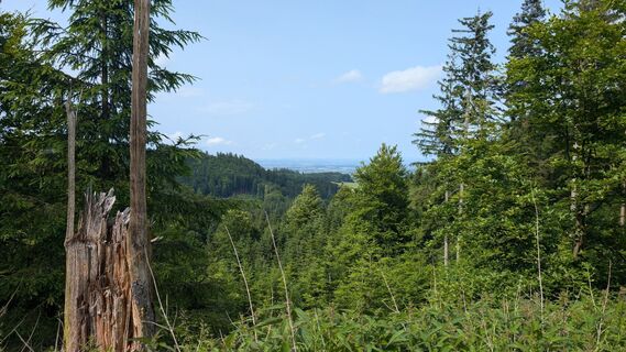 Foto från Klaus Lehner under resans gång
