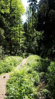 Fotografia z Matthias na trase