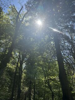 Foto de Agnese Martinelli a lo largo del recorrido