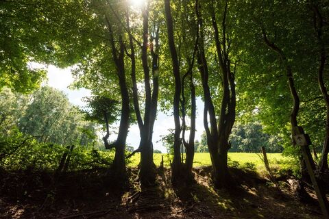 Wanderweg im Wurmtal