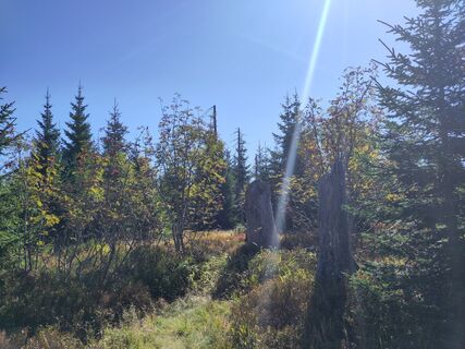 Fotografia z Manuel_74 na trase