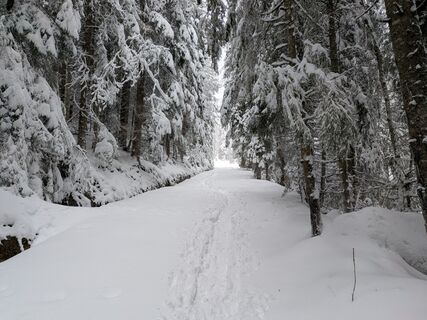 Photo de Guillaume Oriez le long du parcours