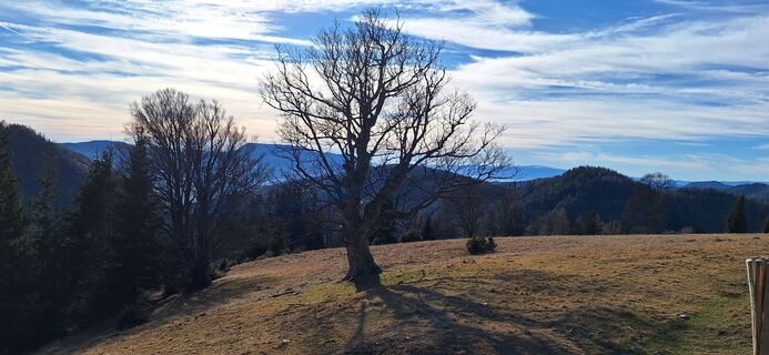 Foto von Michaela Reiter 1 entlang der Tour