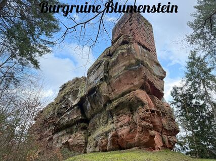 Fotografie z Norbert Herbig na trase