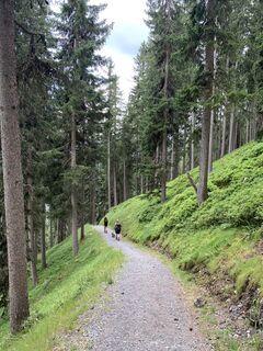 Foto von Koen De Wit entlang der Tour