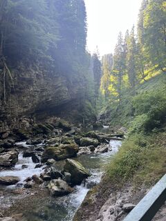 Photo de Anna Andrzejewska le long du parcours