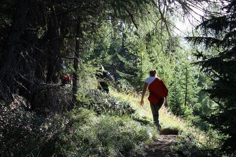 Aufstieg durch den Wald über Gripp zum Golzentipp