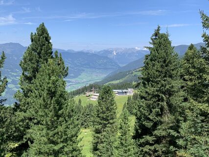 Photo de Koen De Wit le long du parcours