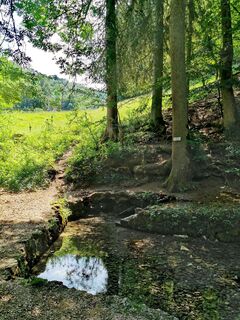 Foto von Chris Schöbben entlang der Tour