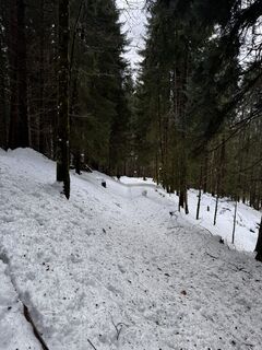 Foto de Markus Ritter a lo largo del recorrido