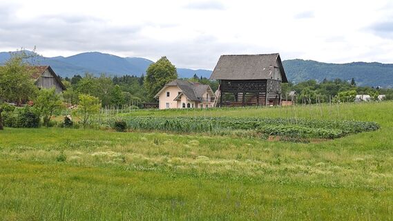 Foto von Franca Škarja entlang der Tour