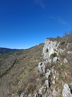 Photo de jožica kaligaro 1 le long du parcours