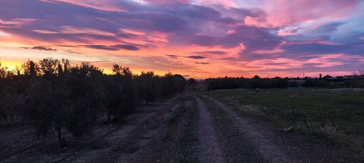 Fotografie z Car Los na trase