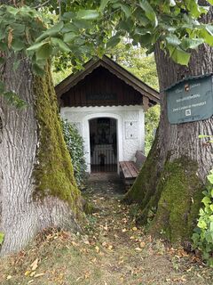 Photo de F. Shirazi-Joska le long du parcours