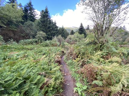 Foto da Arthur Muskalla lungo il tour