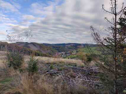 Fotografie de la DevilsBastard de-a lungul turului