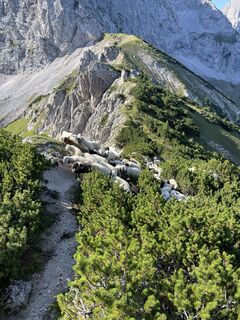 Foto de Jakub  Knapp  a lo largo del recorrido