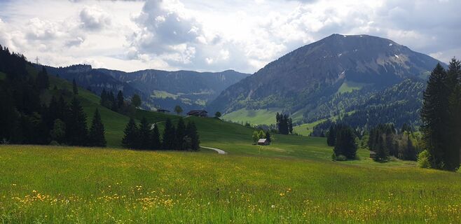 Fotó a Hans-Rudolf Held honlapról a túra során