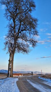 Foto de HeleneEcker a lo largo del recorrido