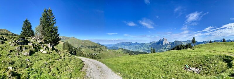 Foto von Patrick Diezi entlang der Tour