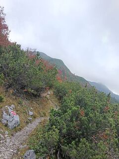 Foto von Edith K. entlang der Tour