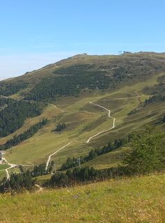 Fotografija s spletne strani Barbara Ripfl na poti