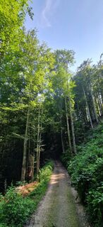 Foto von Claudia Maurer entlang der Tour