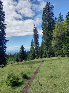 Foto von christian kasper 1 entlang der Tour